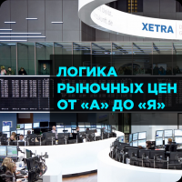 Логика рыночных цен от А до Я - Шерефитинов (2016)_0.png